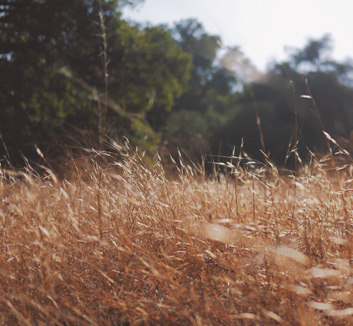 欧洲足球赛事再掀热潮，强队对抗